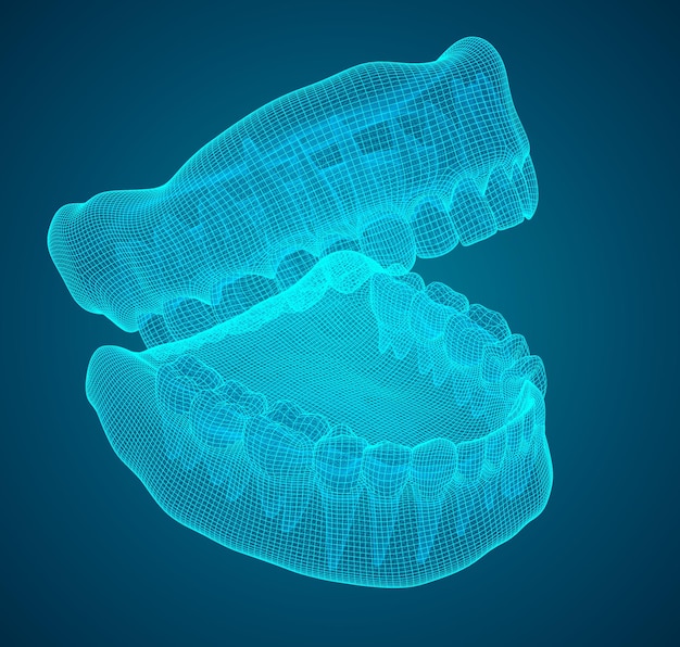 Human jaw 3d vector layout medicine and health