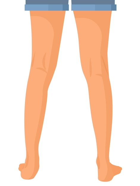 human legs back, Vector illustration for advertising, medical (health care) publications, animation