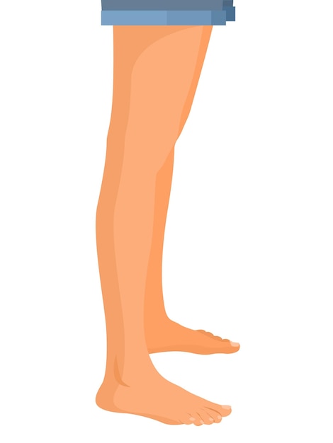 human legs profile, Vector illustration for advertising, medical (health care) publications, animati