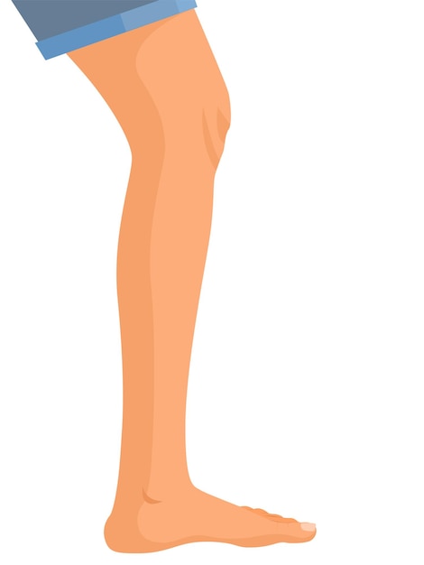 human legs profile, Vector illustration for advertising, medical (health care) publications, animati