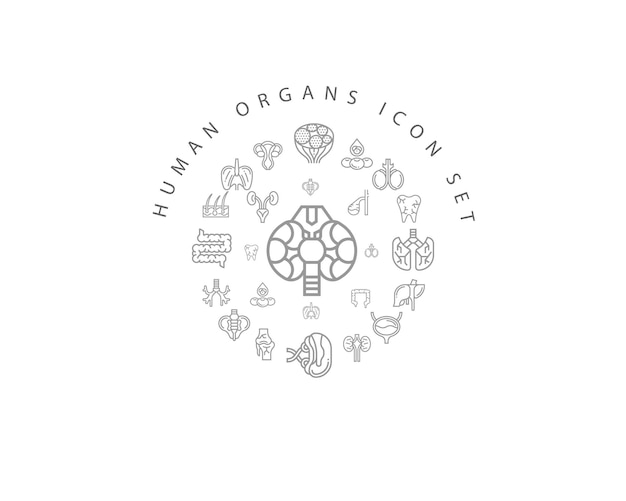 Human organs icon set design