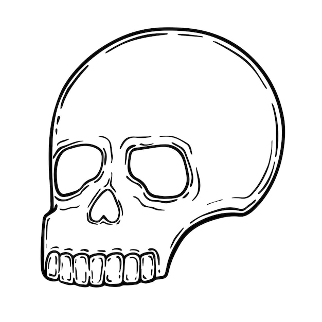 Human skull doodle linear coloring book