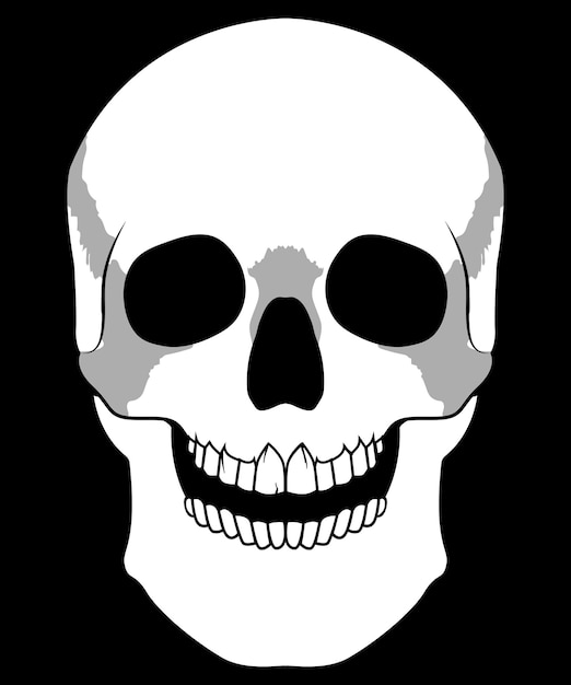 Human skull Face vector