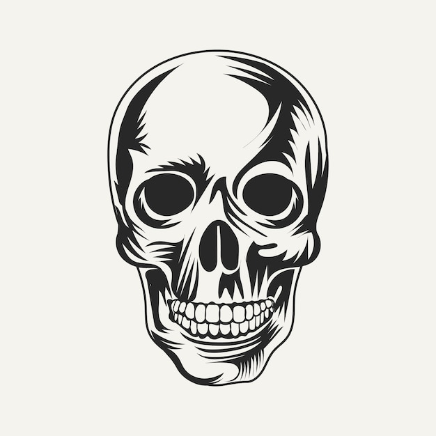 Human skull head vector On white background.