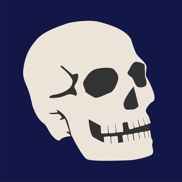 Human skull isolated on dark background. Vector Halloween illustration.