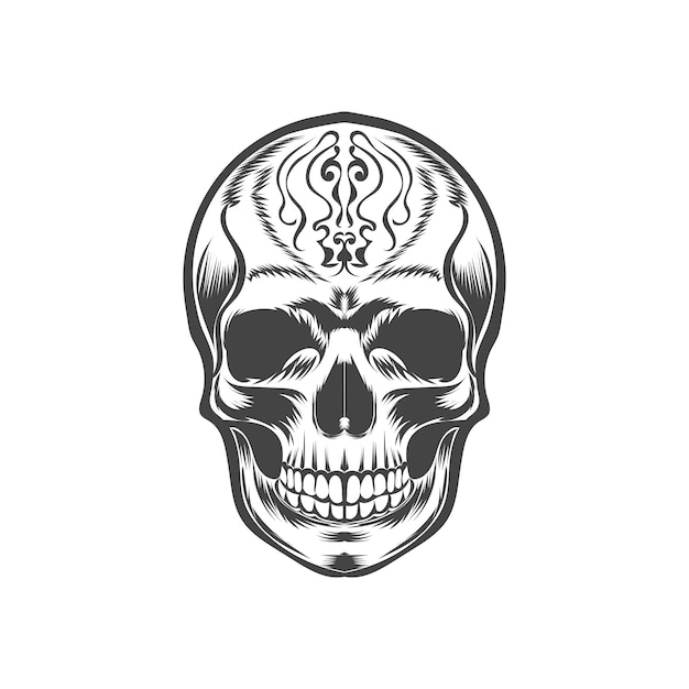 human skull isolated on white background