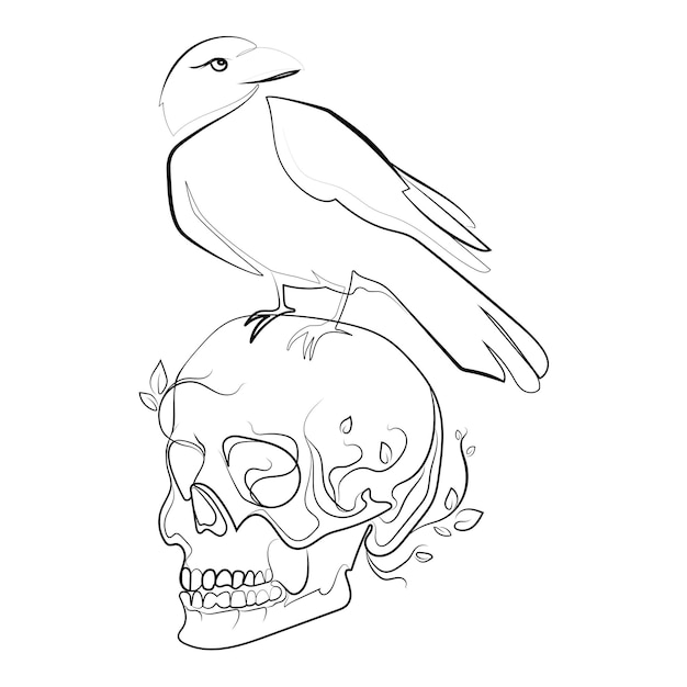 Human skull with crow Line art drawing,sketch style vector Art. Raven on skull black and white