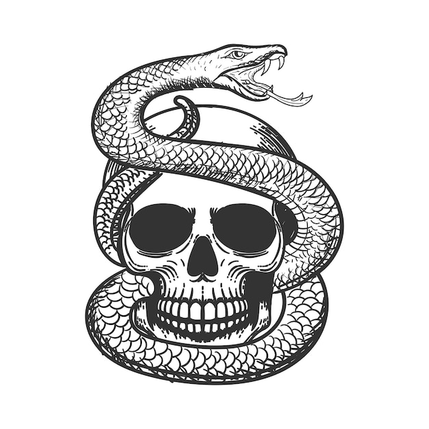 A Human Skulls with Venomous Snake and on white background Illustration