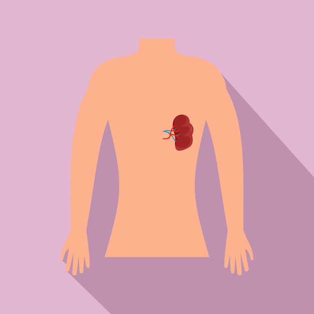 Human spleen icon Flat illustration of human spleen vector icon for web design