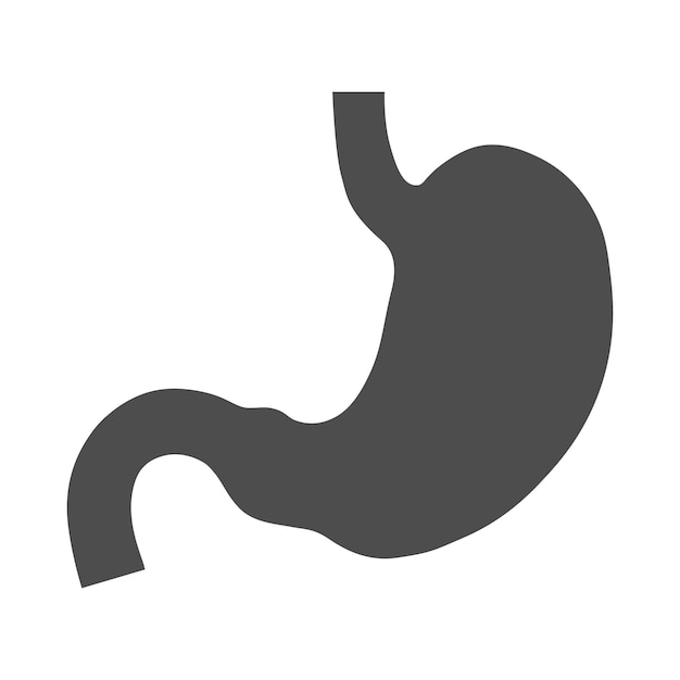 Human stomach isolated icon