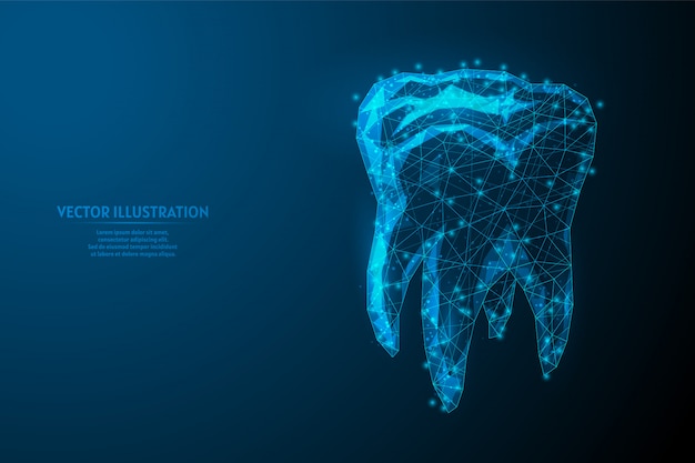 Human tooth close up. Model organ anatomy. Orthodontics, stomatology. Tooth treatment concept, oral care brushing. Innovative medicine and technology.