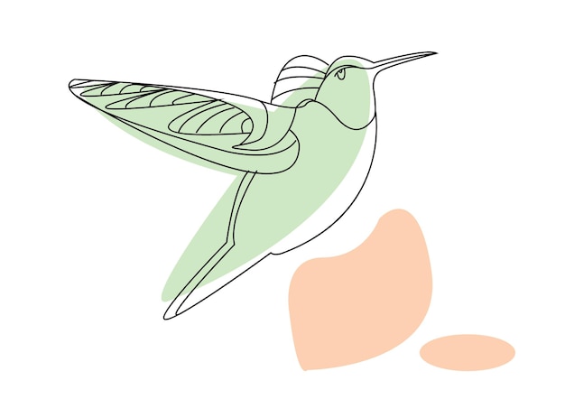 humming bird art or humming bird line art