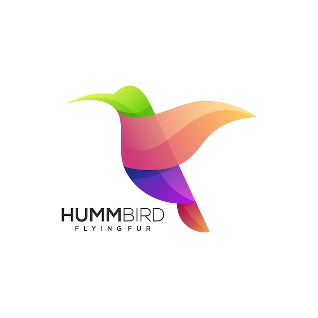 Humming bird logo template