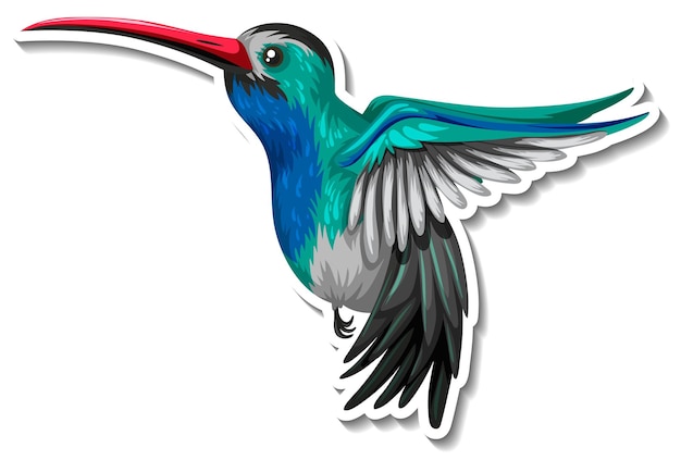 Hummingbird animal cartoon sticker