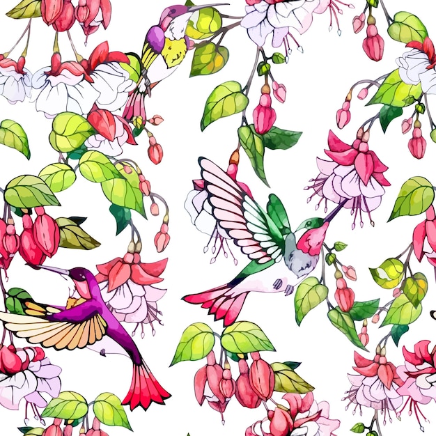 Hummingbird birds and blossom fuchsia flowers seamless pattern Repeat ornament of tropical flora