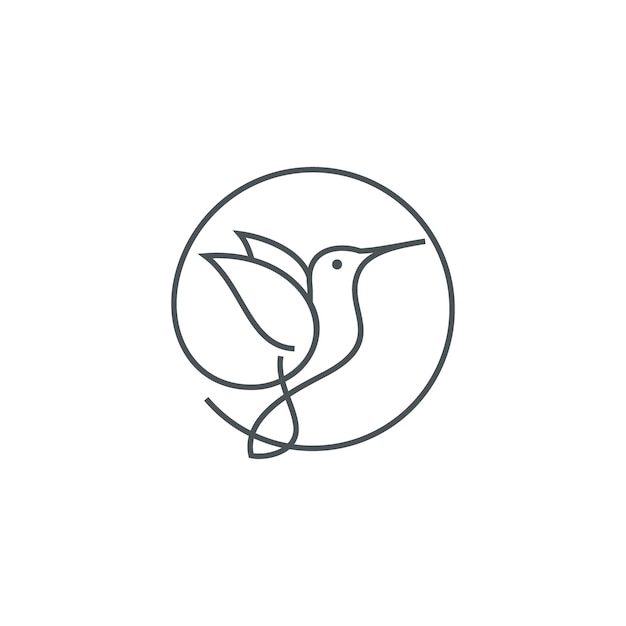 hummingbird colibri lineart logo vector template