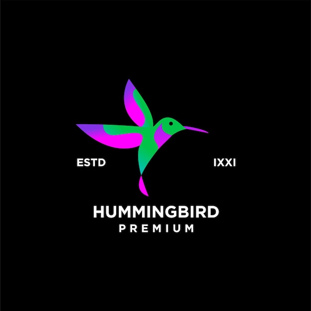 Hummingbird color full logo icon design