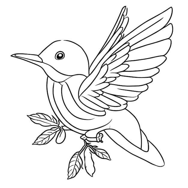 hummingbird coloring page for kids printable hummingbird coloring pages for kids opens a new tab