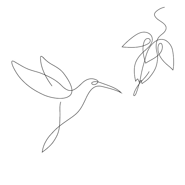 Hummingbird drawing with flower one continuous line for logo and graphic design Small beautiful swift bird isolated on white background Vector illustration