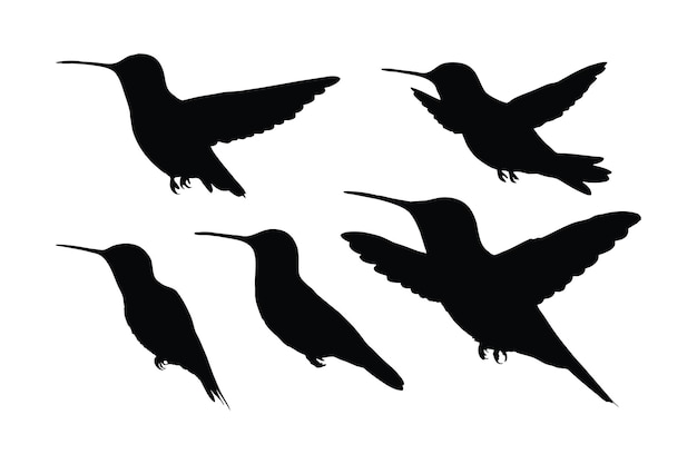 Hummingbird flying in different positions silhouette set vector Small hummingbird silhouette collection on a white background Beautiful birds and fowl full body silhouette bundles