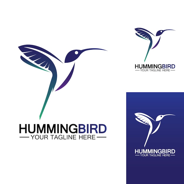 Hummingbird logo design vector template