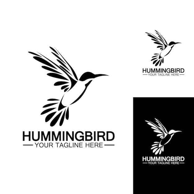 Hummingbird logo design vector template