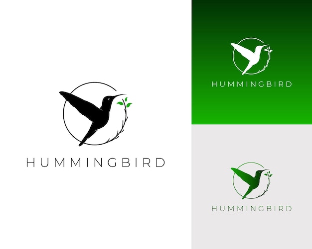 hummingbird logo design vector template