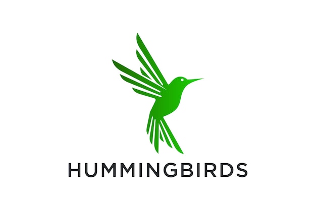 Hummingbird logo design vector template