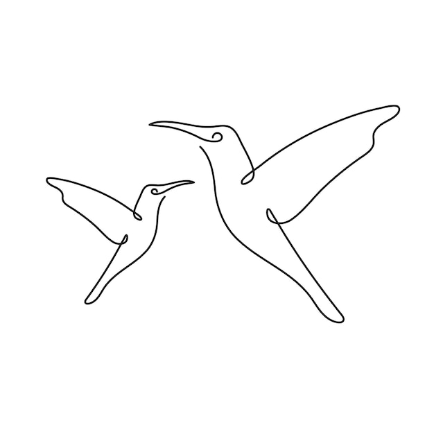 Hummingbird one line drawing on white isolated background Vector illustration