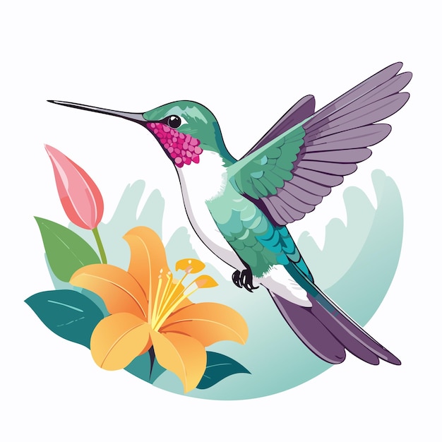 Vector hummingbird with flower vector illustration isolated on white background