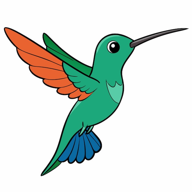 Vector hummingbird with white background vector illustration cartoon