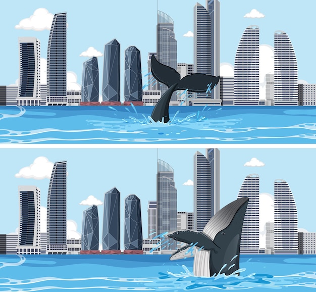 Humpback whale in the city