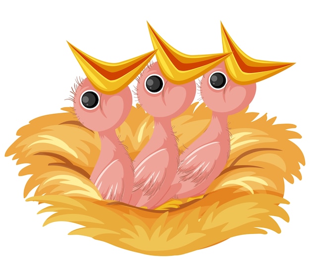 Vector hungry chicks cartoon character