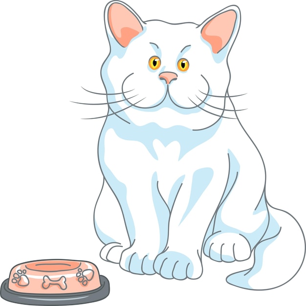 Hungry cute white cat with yellow eyes and empty bowl isolated on the white background