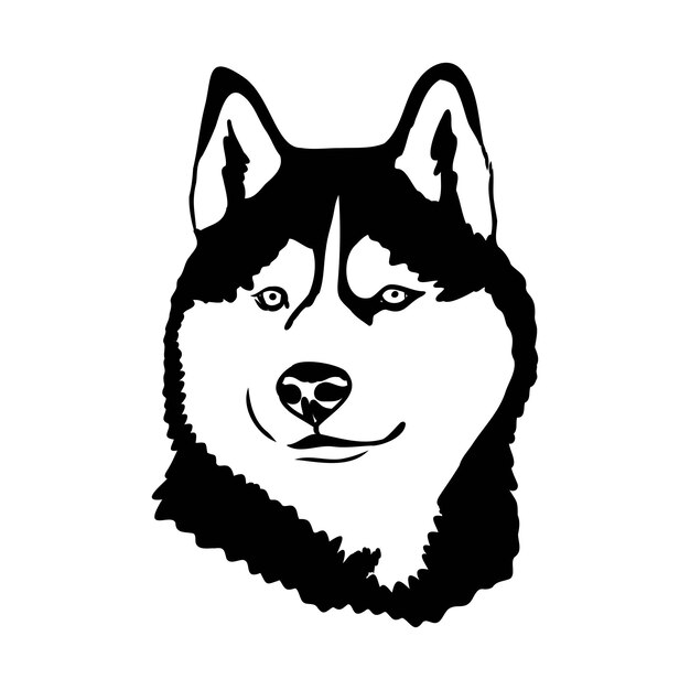 Vector husky isolated on white background stencil dog silhouette