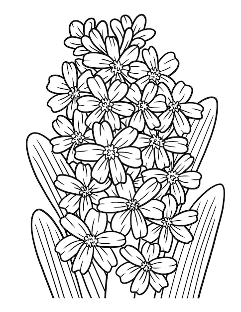 Hyacinth Flower Coloring Page for Adults