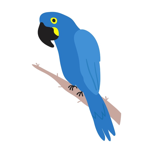 Hyacinth macaw. Flat illustration. Vector graphic design on white background.