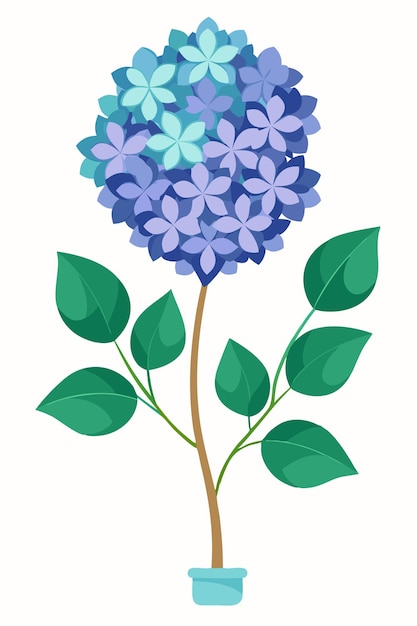 Vector hydrangea plant minimal design vector illustration