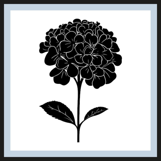 Hydrangea silhouette stock vector clipart