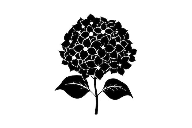 Vector hydrangea silhouette vector black and white botanical drawing