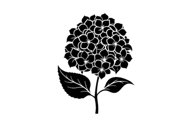 Vector hydrangea silhouette vector black and white botanical drawing