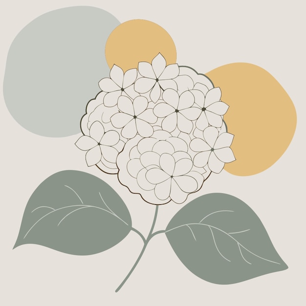 hydrangeas white background vector illustration line circuit