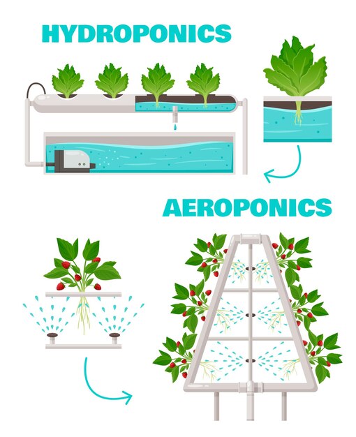 Vector hydroponics and aeroponics concept with watering and fast growth symbols cartoon