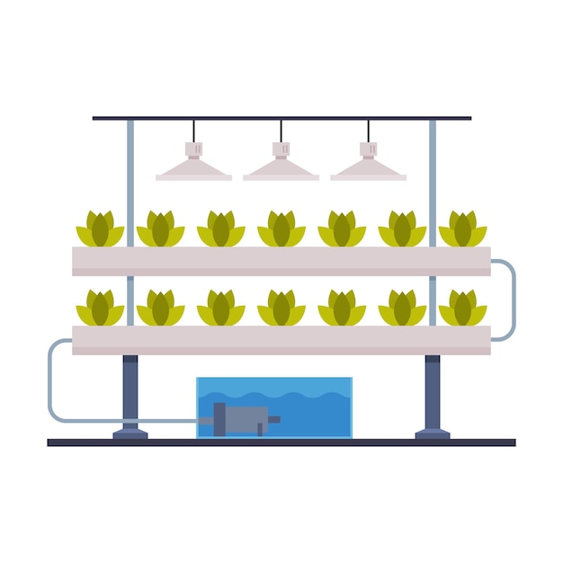 Vector hydroponics and aeroponics gardening system eco friendly organic farming technology with plants growing in pots and mineral fertilizers flat vector illustration