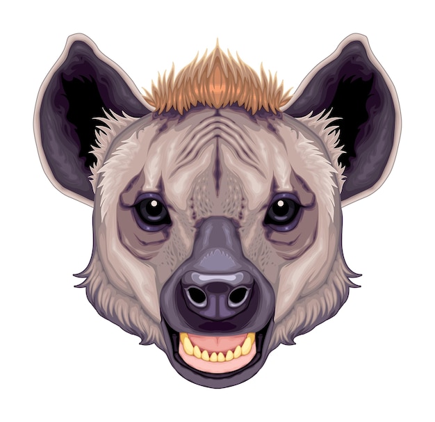 Hyena head vector isolated animal