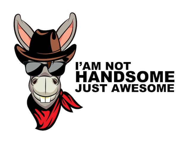 i'am not handsomw just awesome donkey