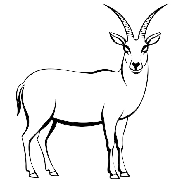 Ibex line art vector