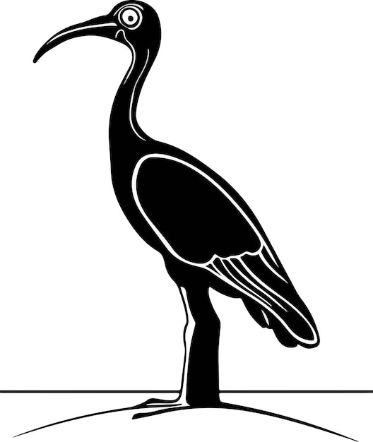 an ibis with a long beak stands on a ledge