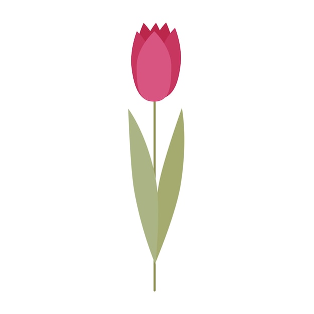 An icon of a decorative pink tulip on a white background