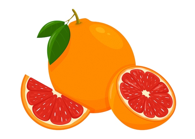 Icon Grapefruit Set with whole fruit slice and a half with leaves Isolated vector illustration in a flat style